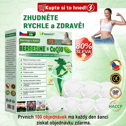Oficiální obchod 🌿❤️Funutri® 10 v 1 metabolická tvarující náplast s nano mikrojehličkami (Pouze jednou denně, viditelné změny již za 7 dní)  Určeno pro osoby s obezitou, diabetem, spánkovou apnoe