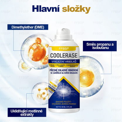 FFBSI® CoolErase Sprej pro regeneraci pokožky (Bradavice, Puchýře, Ekzém, Lupy, Kožní keratózy, Akné, Kožní výrůstky, Jizvy, Mateřská znaménka)