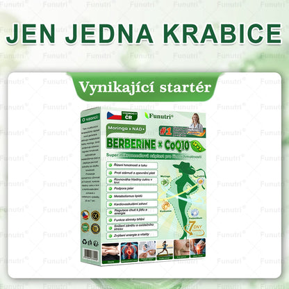 Oficiální obchod 🌿❤️Funutri® 10 v 1 metabolická tvarující náplast s nano mikrojehličkami (Pouze jednou denně, viditelné změny již za 7 dní)  Určeno pro osoby s obezitou, diabetem, spánkovou apnoe